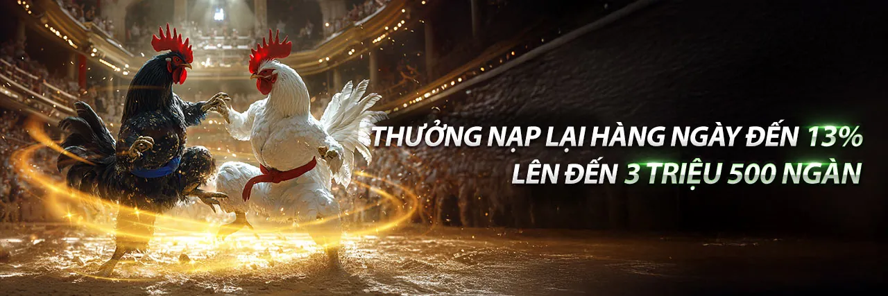 Đá gà trực tuyến tại hit club.vin